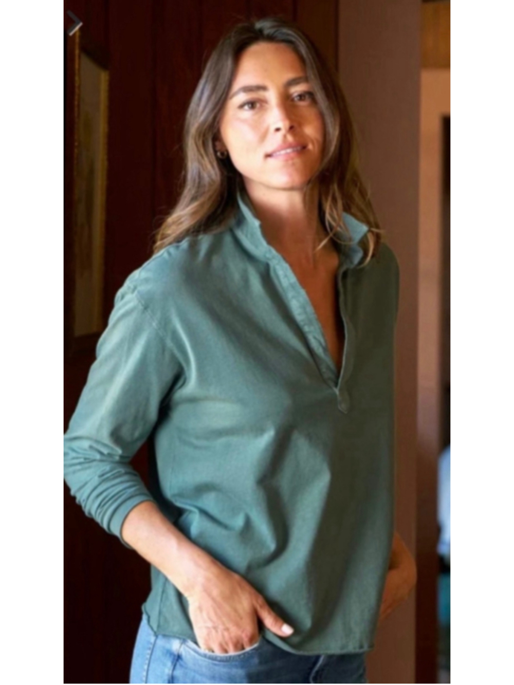 Frank & Eileen Long Sleeve Patrick Popover Henley Tee in Rosemary Green New L